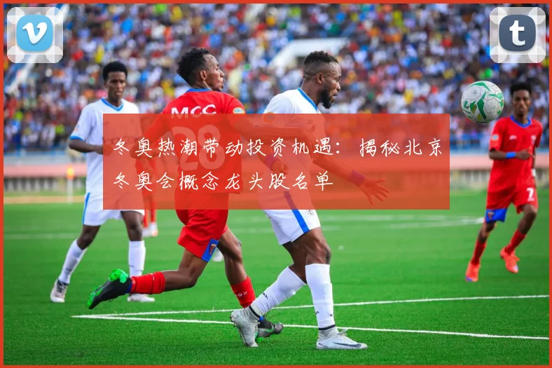 冬奥热潮带动投资机遇：揭秘北京冬奥会概念龙头股名单