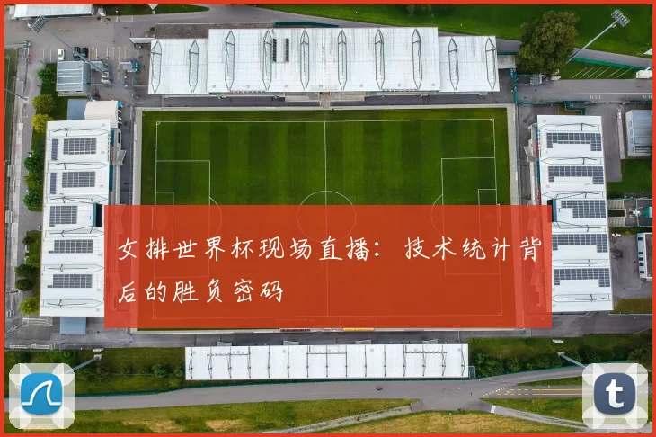 女排世界杯现场直播：技术统计背后的胜负密码