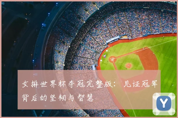 女排世界杯夺冠完整版:见证冠军背后的坚韧与智慧