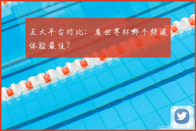 五大平台对比：看世界杯哪个频道体验最佳？