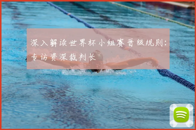 深入解读世界杯小组赛晋级规则：专访资深裁判长