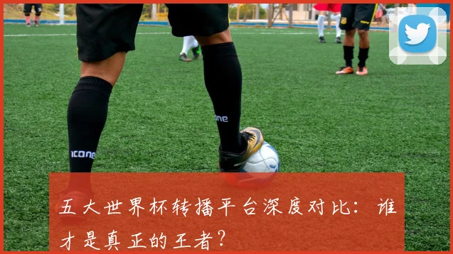 五大世界杯转播平台深度对比：谁才是真正的王者？
