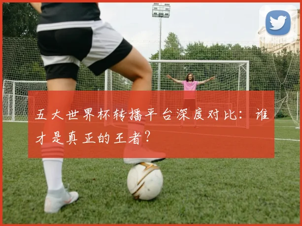 五大世界杯转播平台深度对比：谁才是真正的王者？